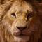 Le Roi Lion : des posters plus vrais que nature !